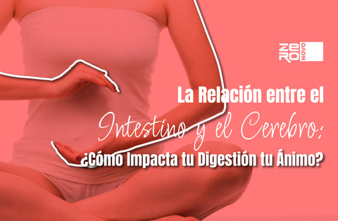 La Relación entre el Intestino y el Cerebro: ¿Cómo Impacta tu Digestión tu Ánimo?